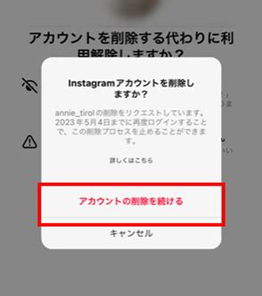 インスタ ウイルス|Instagramアカウントの安全とセキュリティ 